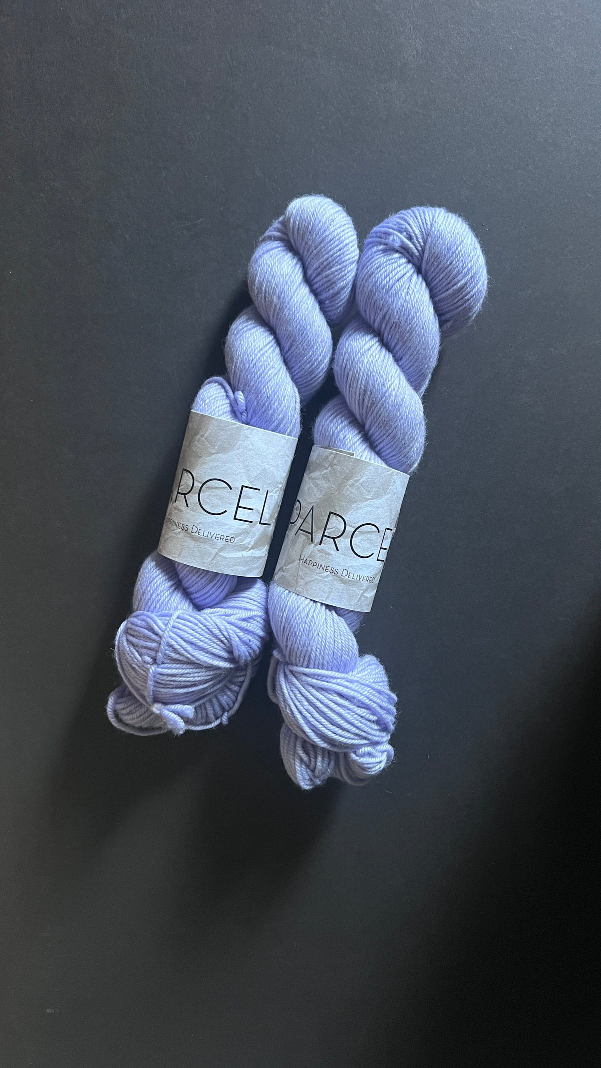 Transcend | Blue Hydrangea