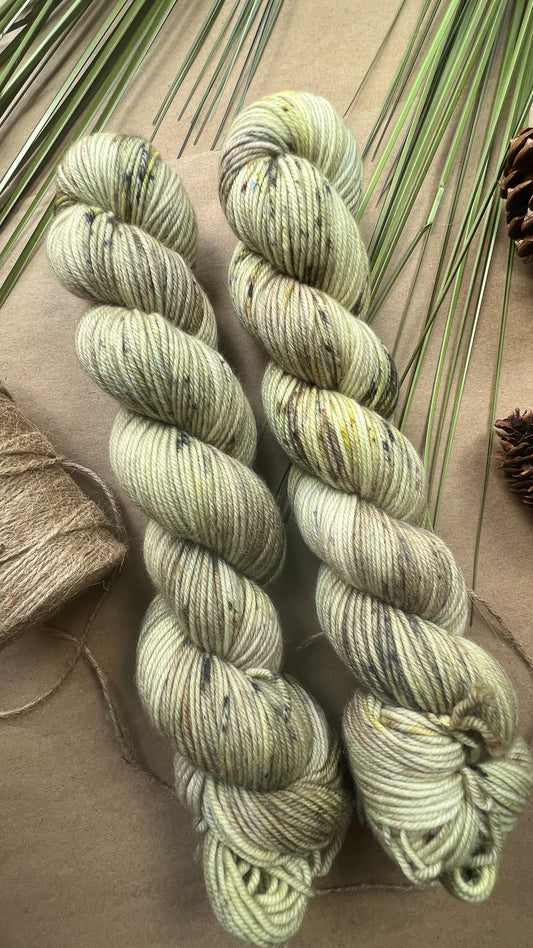 Transcend | Spanish Moss